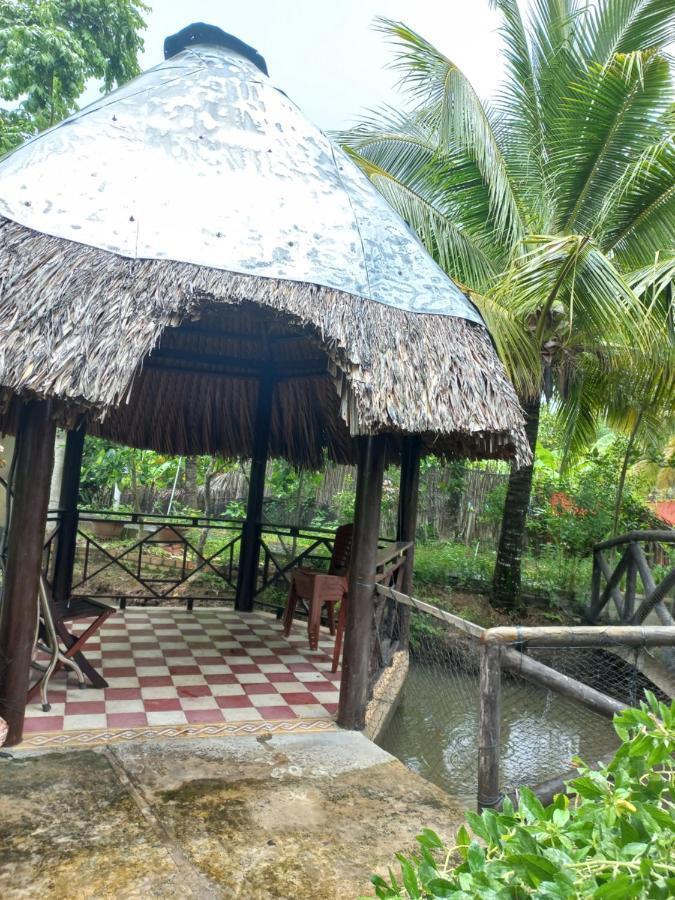 Ngoc Phuong Homestay Vĩnh Long Kültér fotó